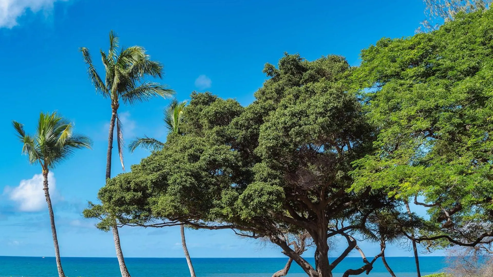 Haleakala Shores A-302 Wailea  USA